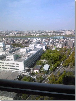 やっと小春日和