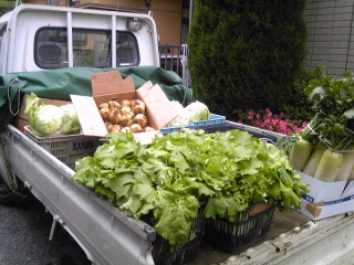 震災ボランティア第１陣-トラック一杯の野菜をもらう