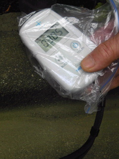 放射能測定（中原区平間）−川崎工科高校、平間小、下河原小 通学路で基準値以上（0.19）の値