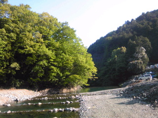 道志川でキャンプ：ニジマス１８匹を食べまくる